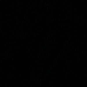 Meet your Posher, Rose